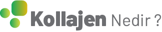 Kollajen Nedir ?